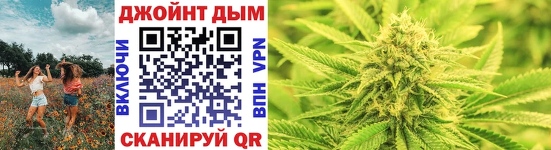 Бошки Шишки Amnesia  где продают   Ардатов 